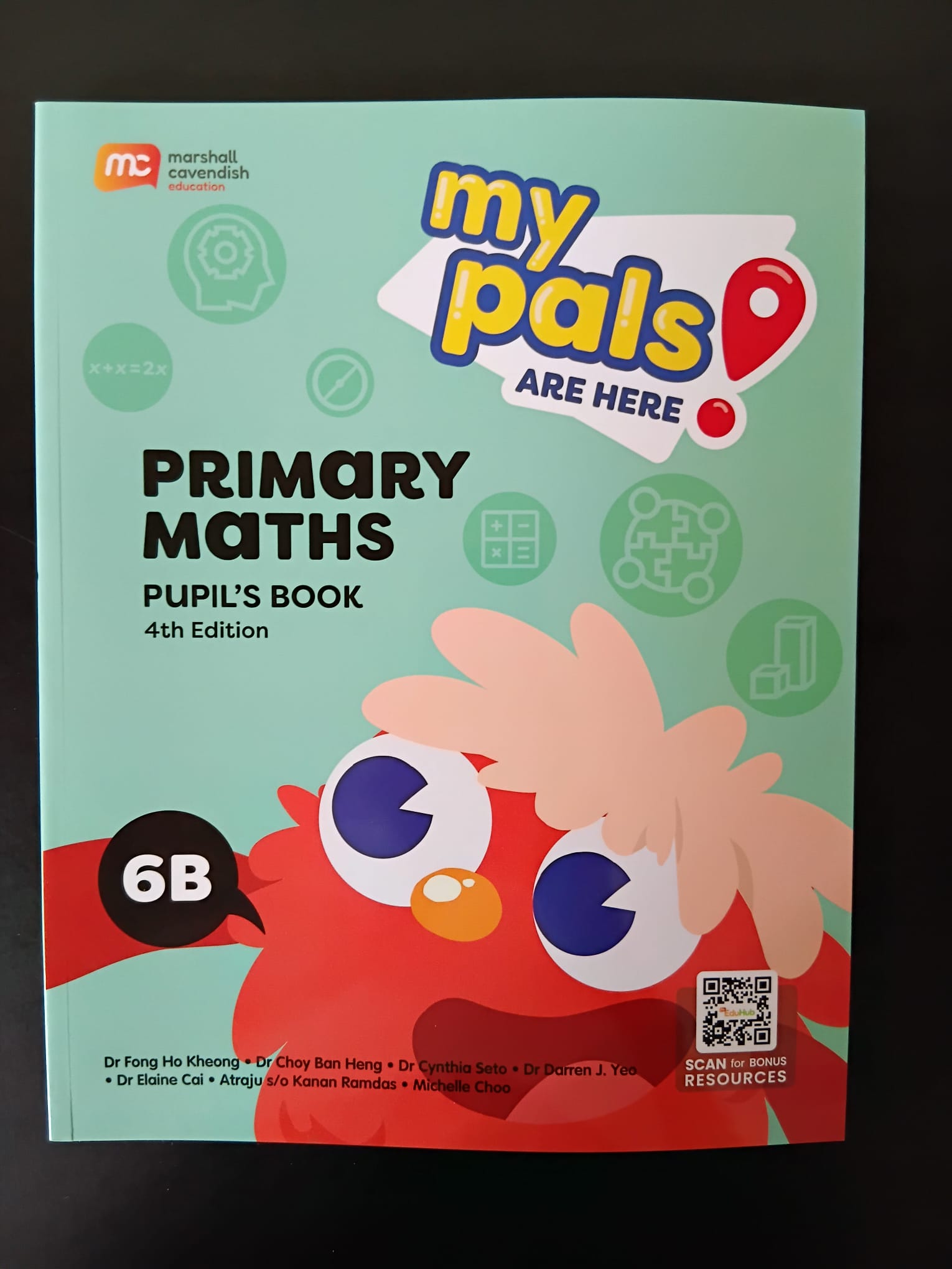 Published mathematics book 11