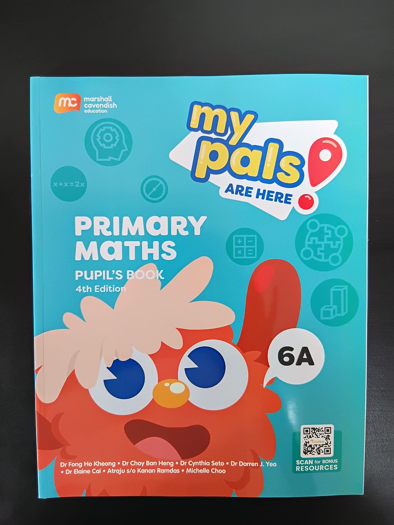Published mathematics book 12