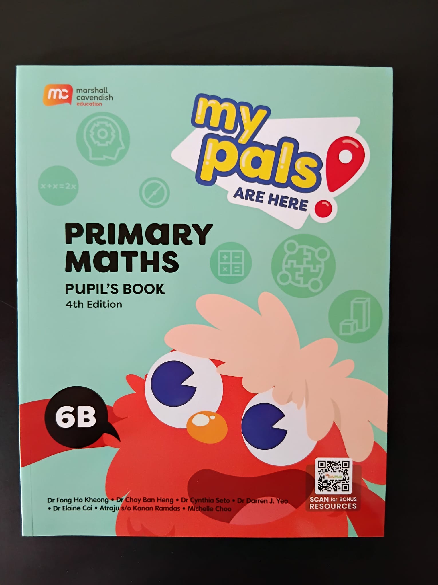 Published mathematics book 13